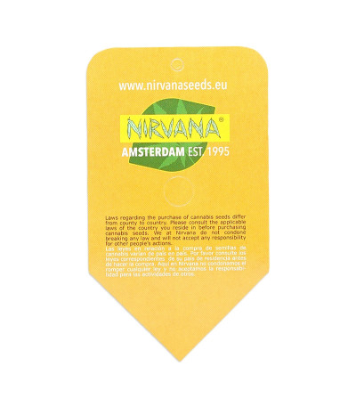 Семена сорта Short Rider Automatic fem