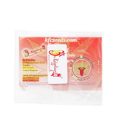 Семена сорта Kali & the Chocolate Factory fem (KFC Seeds)