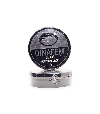 Семена сорта Critical Jack fem (Dinafem Seeds)