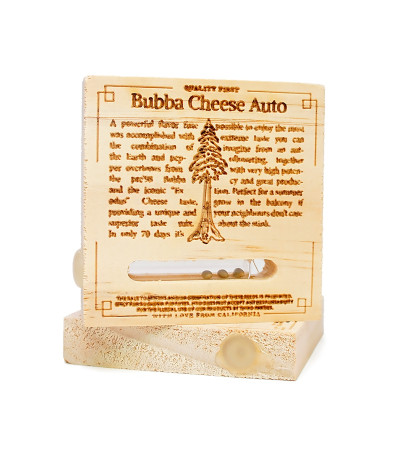 Семена сорта Bubba Cheese Auto fem (Humboldt Seeds)