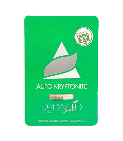 Семена сорта Auto Kryptonite fem (Pyramid Seeds)