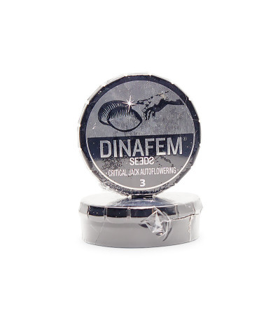 Семена сорта Critical Jack Autoflowering fem (Dinafem Seeds)