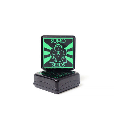 Семена сорта Dutch Cheese reg (Sumo Seeds)