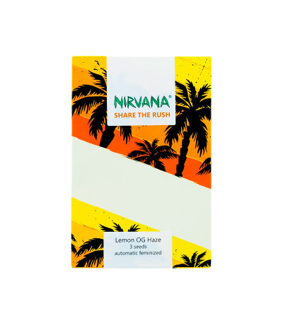 Семена сорта Lemon OG Haze Automatic fem (Nirvana Seeds)