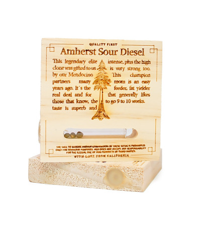 Семена сорта Amherst Sour Diesel fem (Humboldt Seeds)