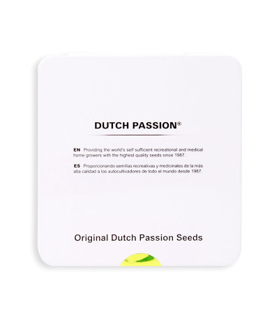 Семена сорта Bubba Island Kush fem (Dutch Passion)