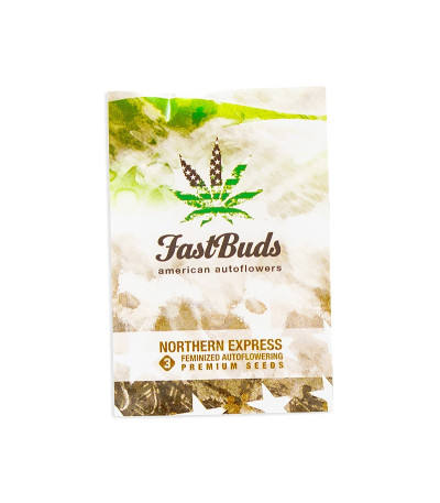 Семена сорта Northern Express Auto fem