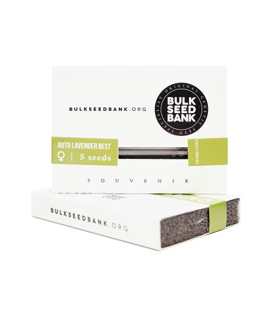Семена сорта Auto Lavender Best fem