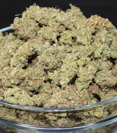 Семена сорта Original Auto White Widow fem (FastBuds)