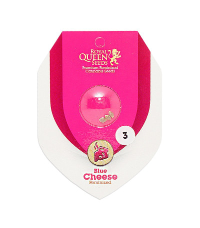 Семена сорта Blue Cheese fem (Royal Queen Seeds)