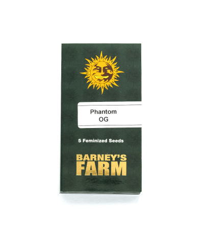 Семена сорта Phantom OG fem (Barney's Farm)