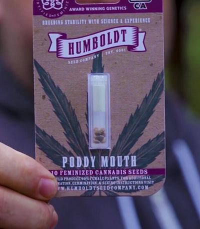 Семена сорта Poddy Mouth fem (Humboldt Seed Company)