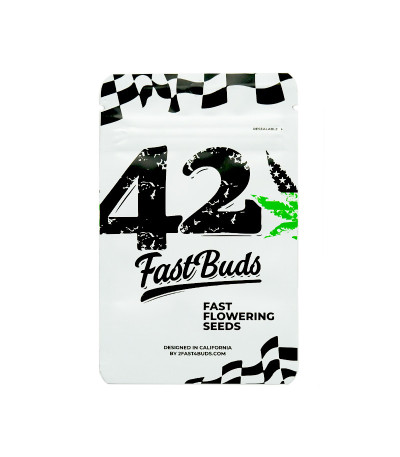 Семена сорта Wedding Cheesecake FF fem (FastBuds)