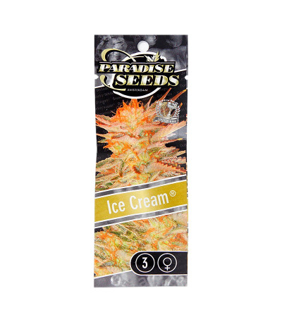 Семена сорта Ice Cream fem (Paradise Seeds)