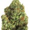 Семена сорта Midnight Mass fem (Heavyweight Seeds)