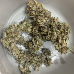 banana-purple-punch-auto-fem-fastbuds.jpg