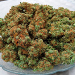 amnesia-lemon-fem-barneys-farm.jpg
