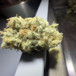 purple-punch-x-lemon-drizzle-fem-barneys-farm.jpg