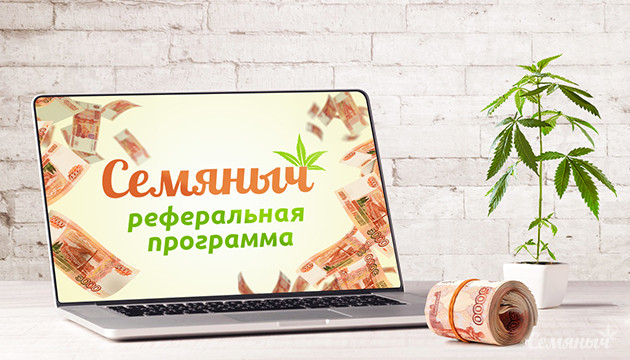 Семяныч реферальная программа