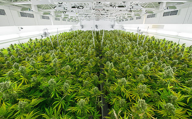 Увеличивайте масштабы производства