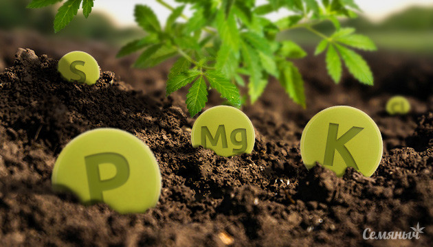 Содержание макро- и микроэлементов в почве